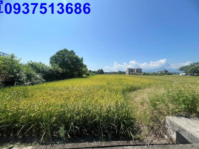 員山農地-3