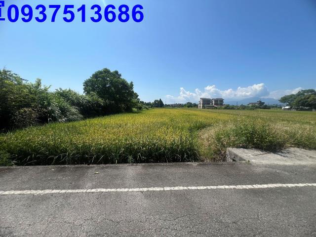 員山農地-4
