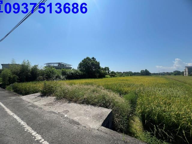 員山農地-6