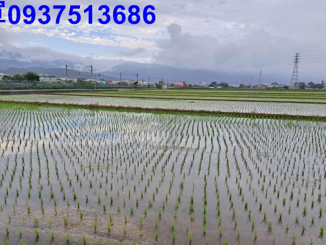 宜蘭市農地-1