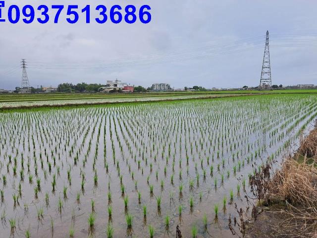 宜蘭市農地-5