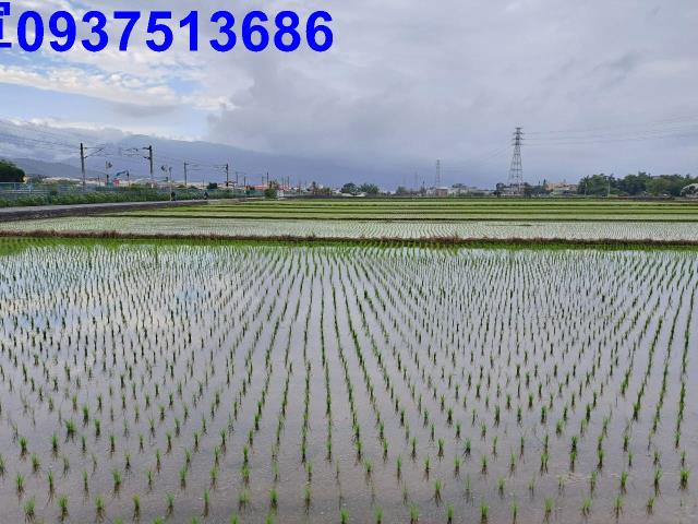 宜蘭市農地-6