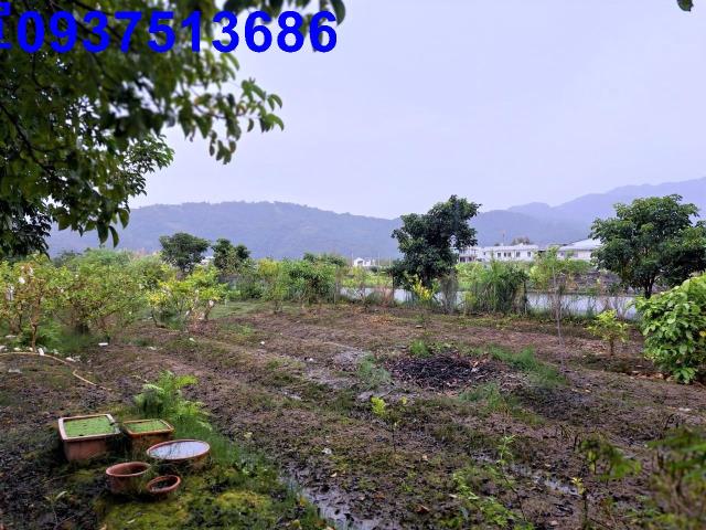員山農地-0