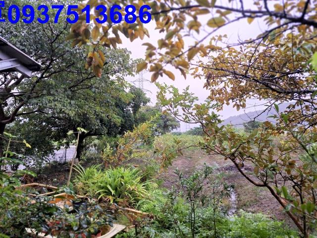 員山農地-7
