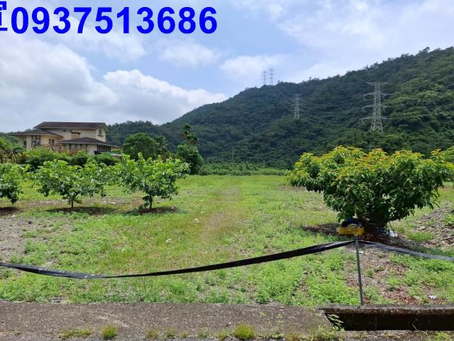 員山農地-9