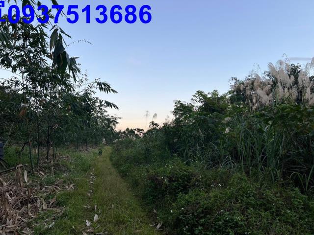 宜蘭農地-6