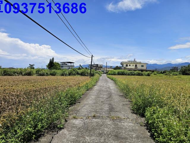 宜蘭員山農地-2