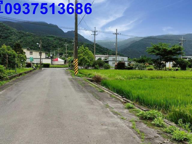 員山農地-5