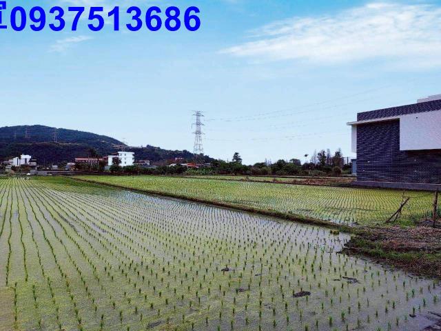 員山農地-10