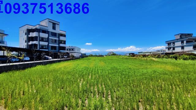 礁溪農地-1