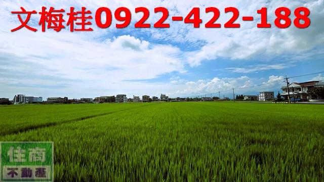 員山農地-5