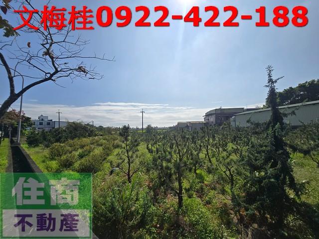 頭城農地-1