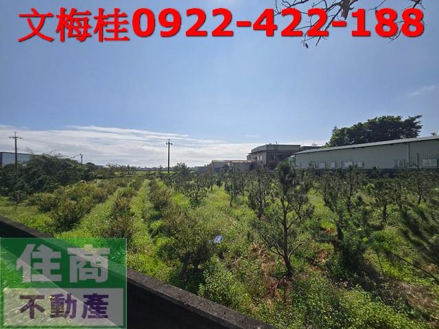頭城農地-3