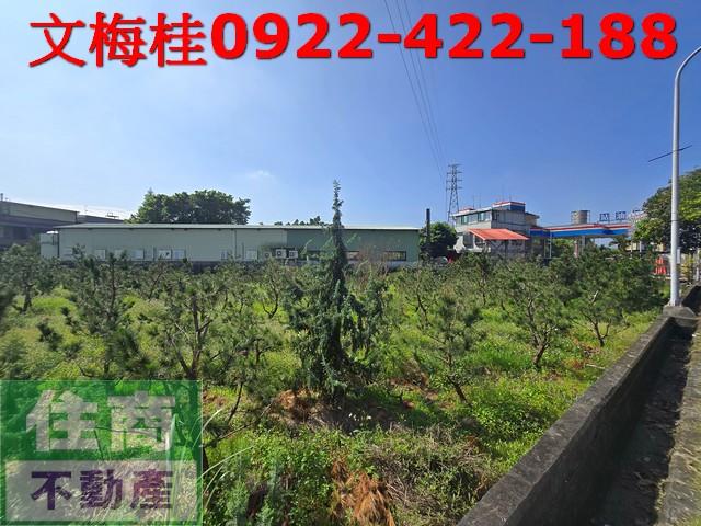 頭城農地-4