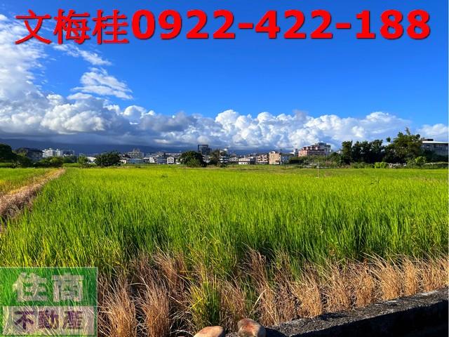 宜蘭市農地-0