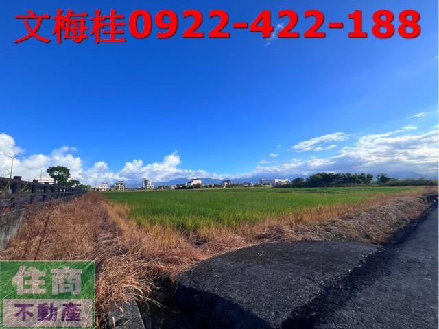 宜蘭市農地-6