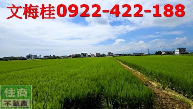 員山農地-1