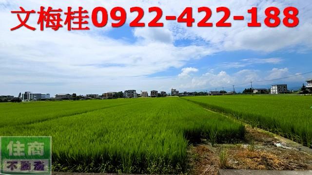 員山農地-3