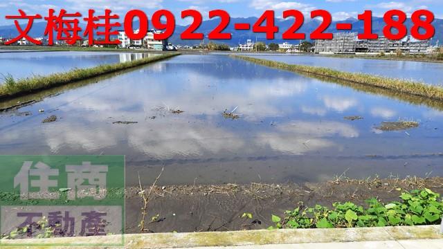 羅東農地-0