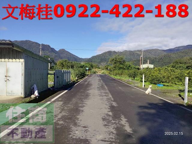 羅東農地-3
