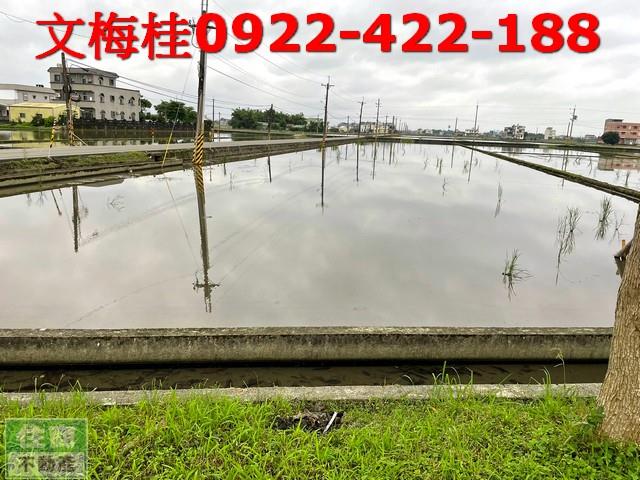 礁溪農地-0