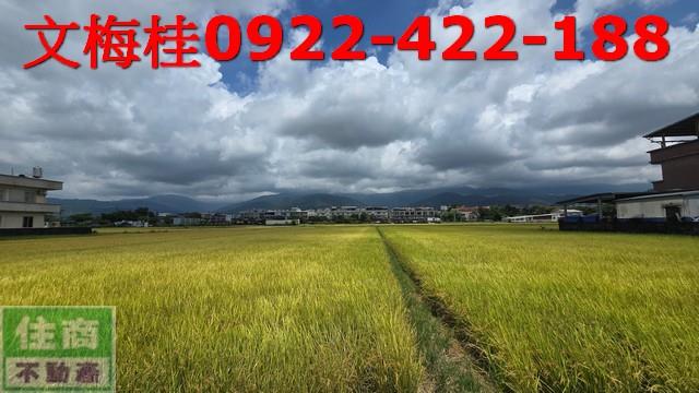 宜蘭農地-1