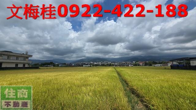 宜蘭農地-5