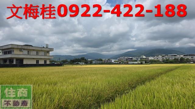 宜蘭農地-6