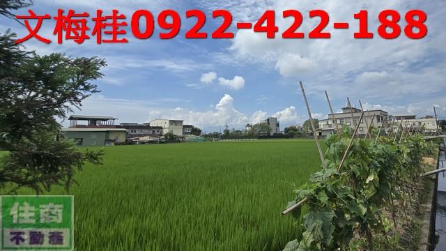 宜蘭農地-0
