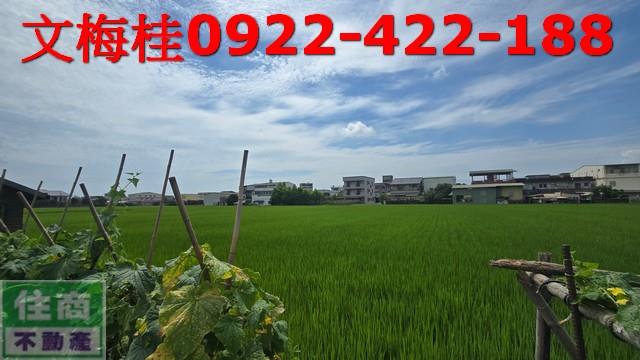 宜蘭農地-2