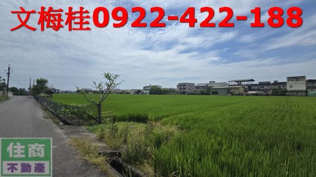 宜蘭農地-4