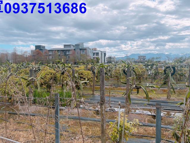 宜蘭農地-12