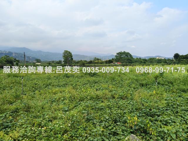 宜蘭礁溪農地-4