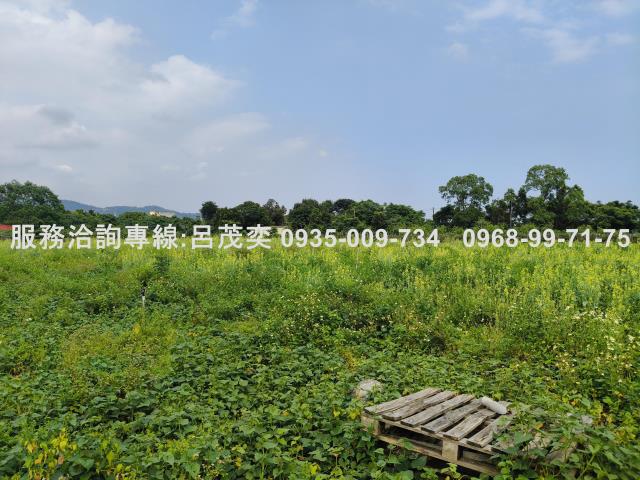 宜蘭礁溪農地-5