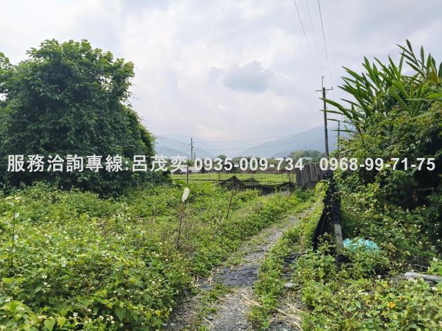 宜蘭礁溪農地-7