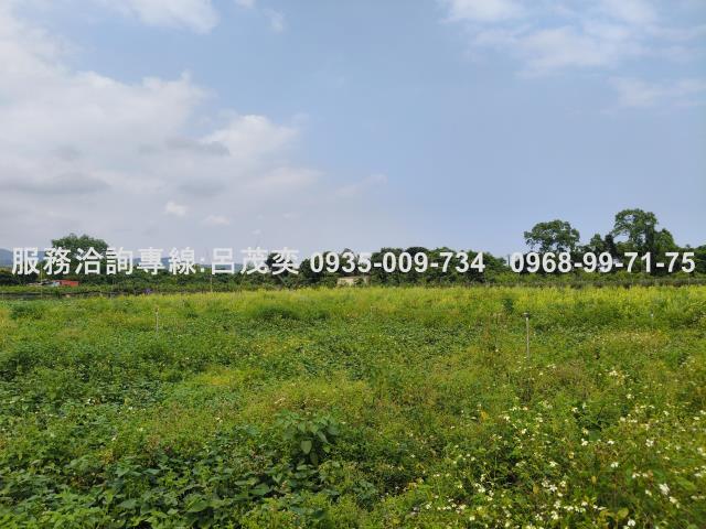 宜蘭礁溪農地-0