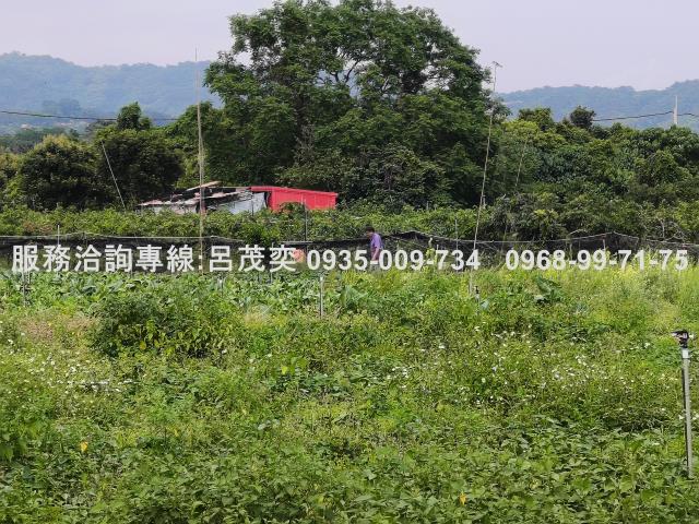 宜蘭礁溪農地-1