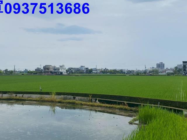 宜蘭市農地-4