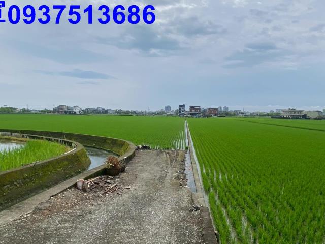 宜蘭市農地-2