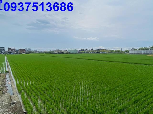 宜蘭市農地-7
