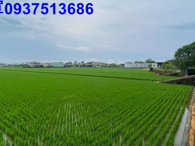 宜蘭市農地-8