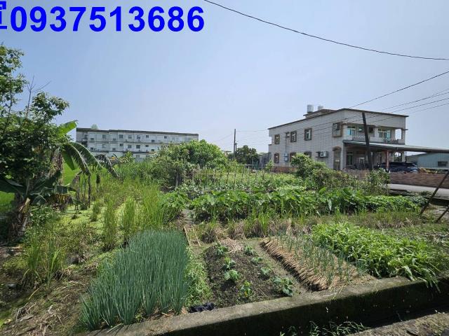 宜蘭農地-3