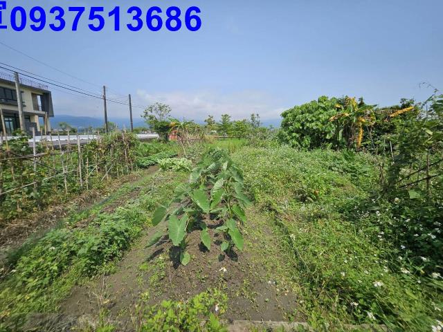 宜蘭農地-4
