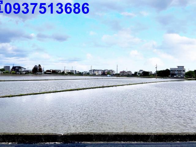 宜蘭市農地-9