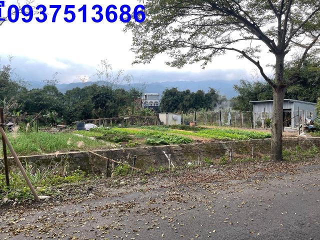頭城農地-4