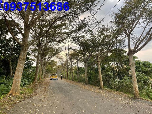 頭城農地-6