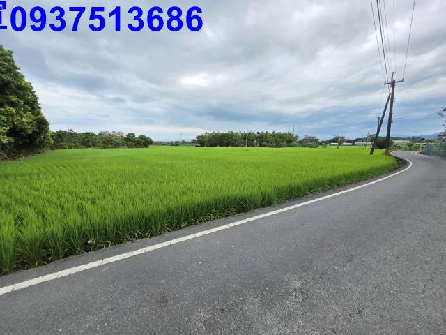 宜蘭頭城農地-13