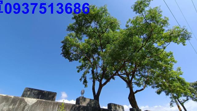 宜蘭礁溪農地-13