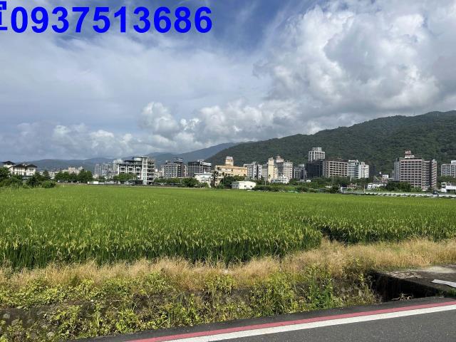 宜蘭礁溪農地-9