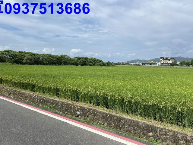 宜蘭礁溪農地-11